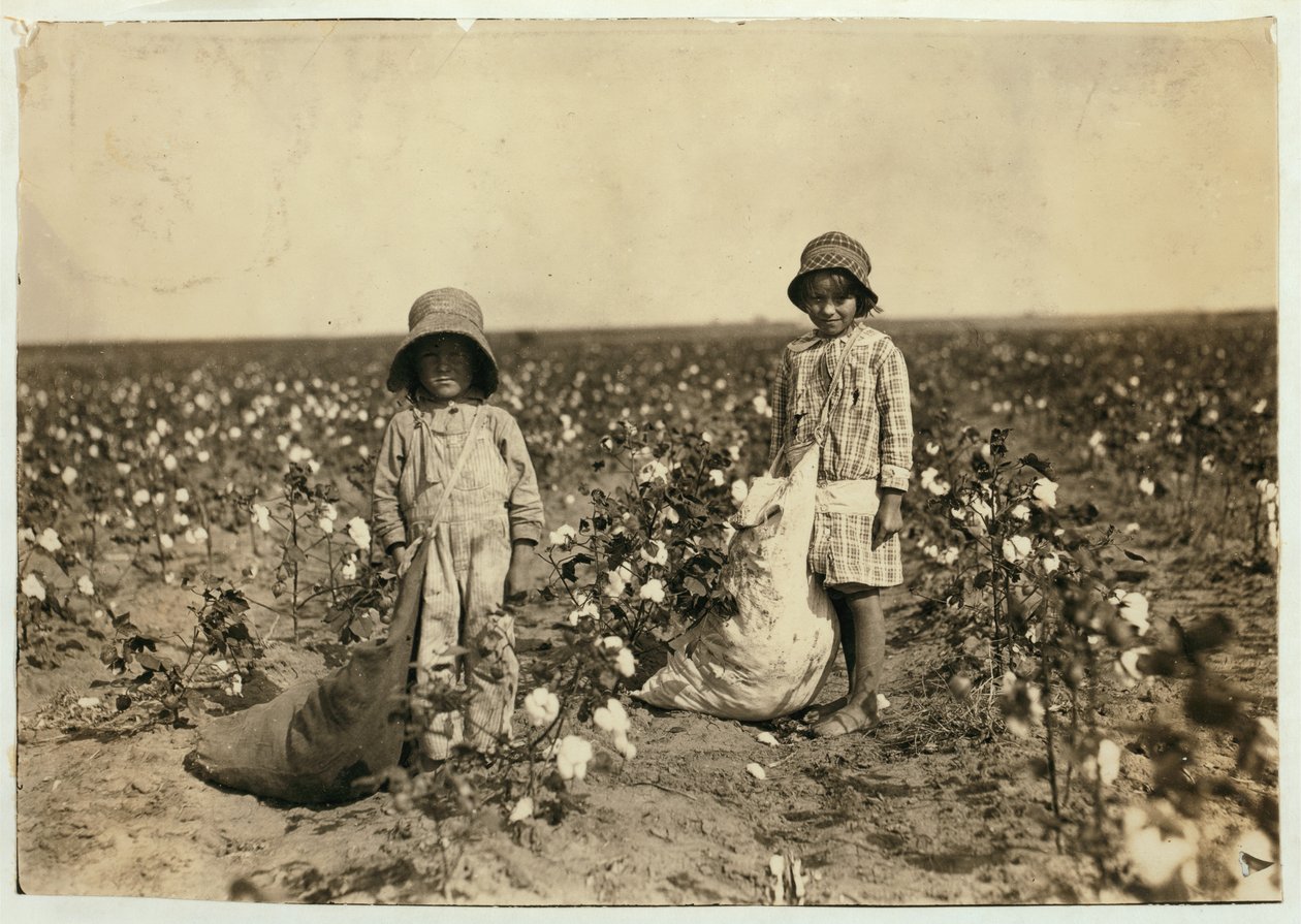 Jewel ja Harold Walker, 6 ja 5 vuotta vanhat, poimivat 20-25 kiloa puuvillaa päivässä Geronimossa, Comanche Countyssa Oklahomassa, 1916 tekijältä Lewis Wickes Hine