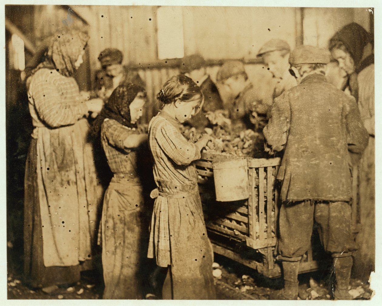 Noin 10-vuotiaat kuorijat avaavat ostereita Varn und Platt Canning Companyssa, Younges Island, Etelä-Carolina, 1913. tekijältä Lewis Wickes Hine
