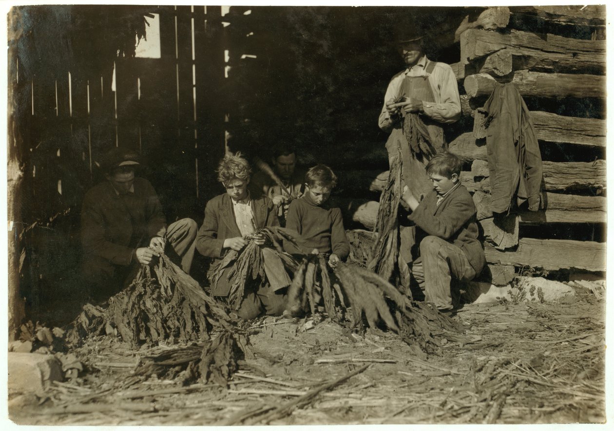 Sons of J.H. 12-, 14- ja 17-vuotias Burch riisui tupakkaa kouluaikoina Warren Countyssa, Rockfieldissä, Kentuckyssa, 1916 tekijältä Lewis Wickes Hine