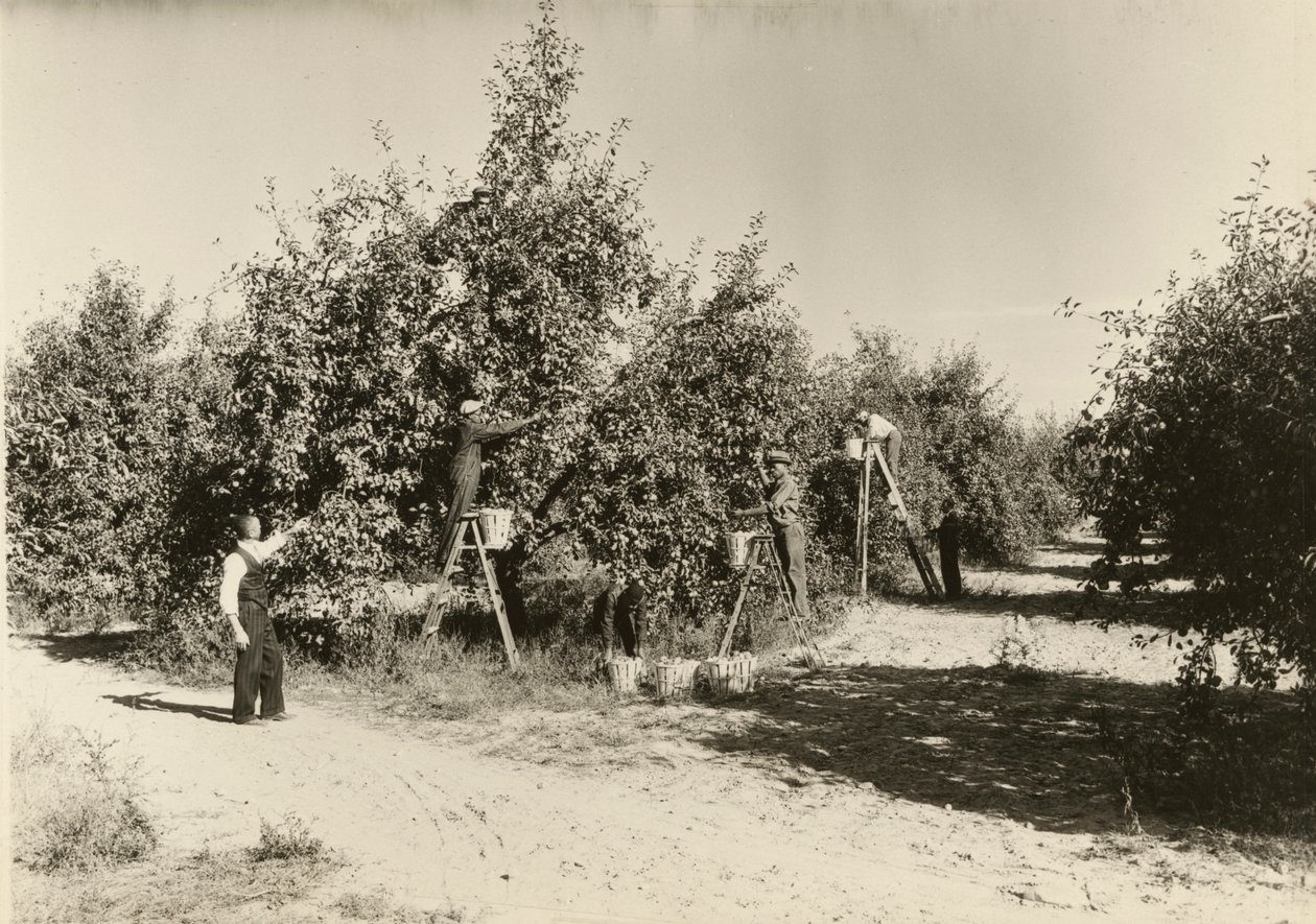 Nimetön, n. 1935. tekijältä Lewis Wickes Hine