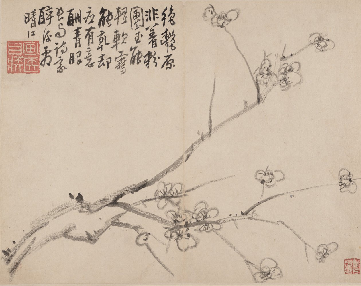 Albumi Blossoming Plum, 1742. tekijältä Li Fangying