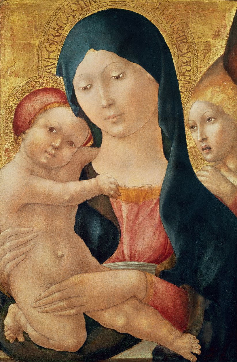 Neitsyt ja lapsi enkelin kanssa, n. 1468-70 (tempera paneelissa) tekijältä Liberale da Verona