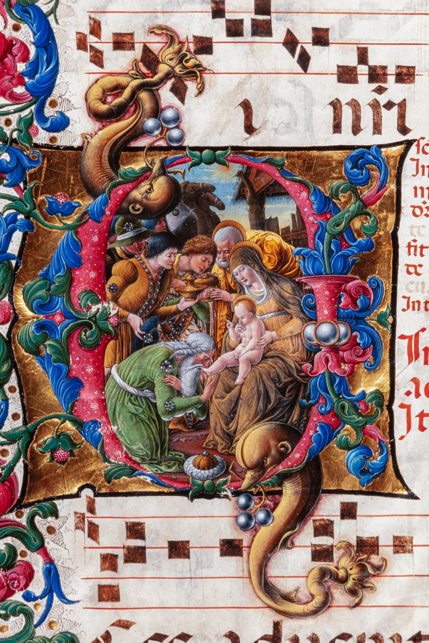 Piccolomini-kirjasto: kuorokirja, turska. 19.4, ff. 9v "Adoration of the Magi", kirjoittaja Liberale da Verona (noin 1445 - 1527/9). Yksityiskohta. tekijältä Liberale da Verona