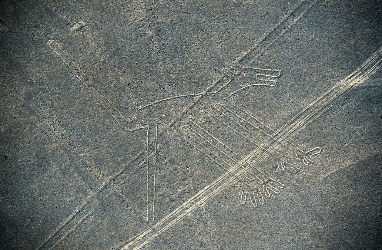 Koira, Nazca-linjat, Nazca, Peru, Nazcan sivilisaatio (kuva) tekijältä Unbekannt Unbekannt