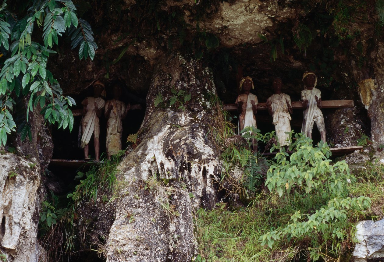 Hautajaiset, joissa Tau Taun ruumishuonehahmot, Marranten kylä, Tana Toraja, Sulawesin saari, Indonesia tekijältä Unbekannt Unbekannt