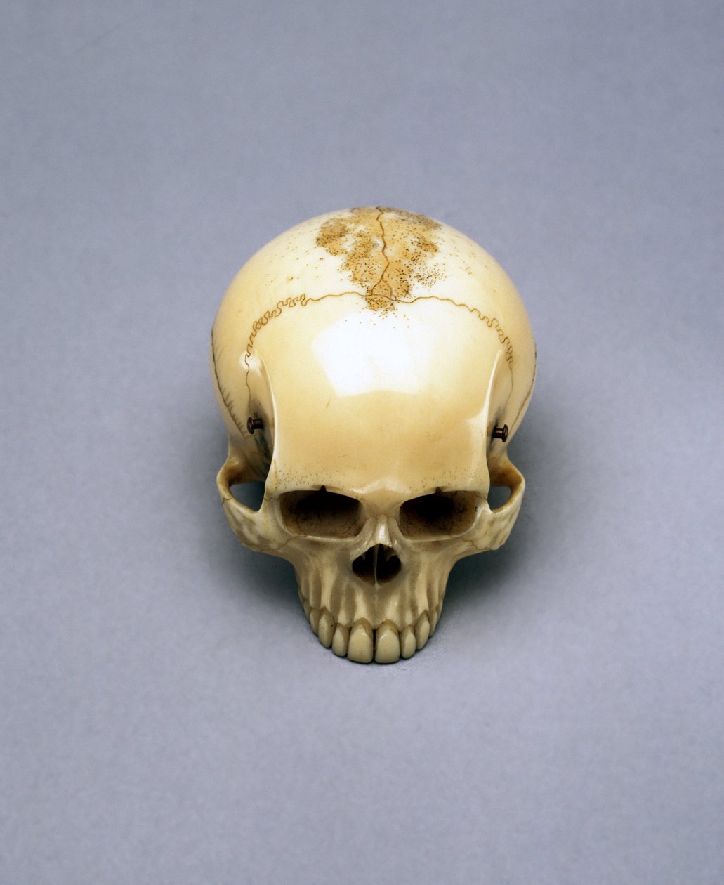 Kallomalli, luultavasti netsuke, japanilainen tekijältä Unbekannt Unbekannt