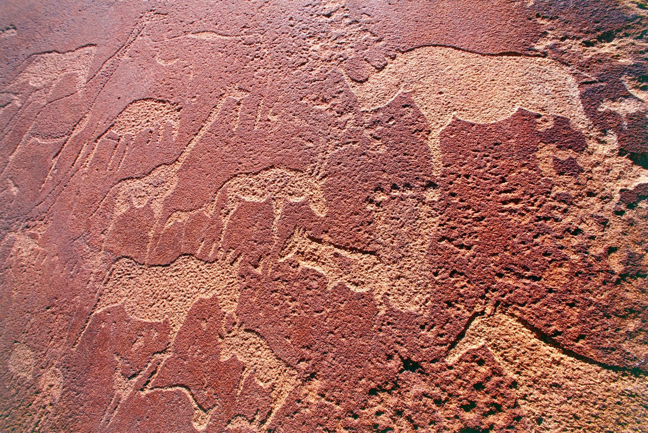Namibia, Damaralandin erämaa-alue, Twyfelfontein, Brandberg-vuoret, kivikautiset kalliokaiverrukset tekijältä Unbekannt Unbekannt