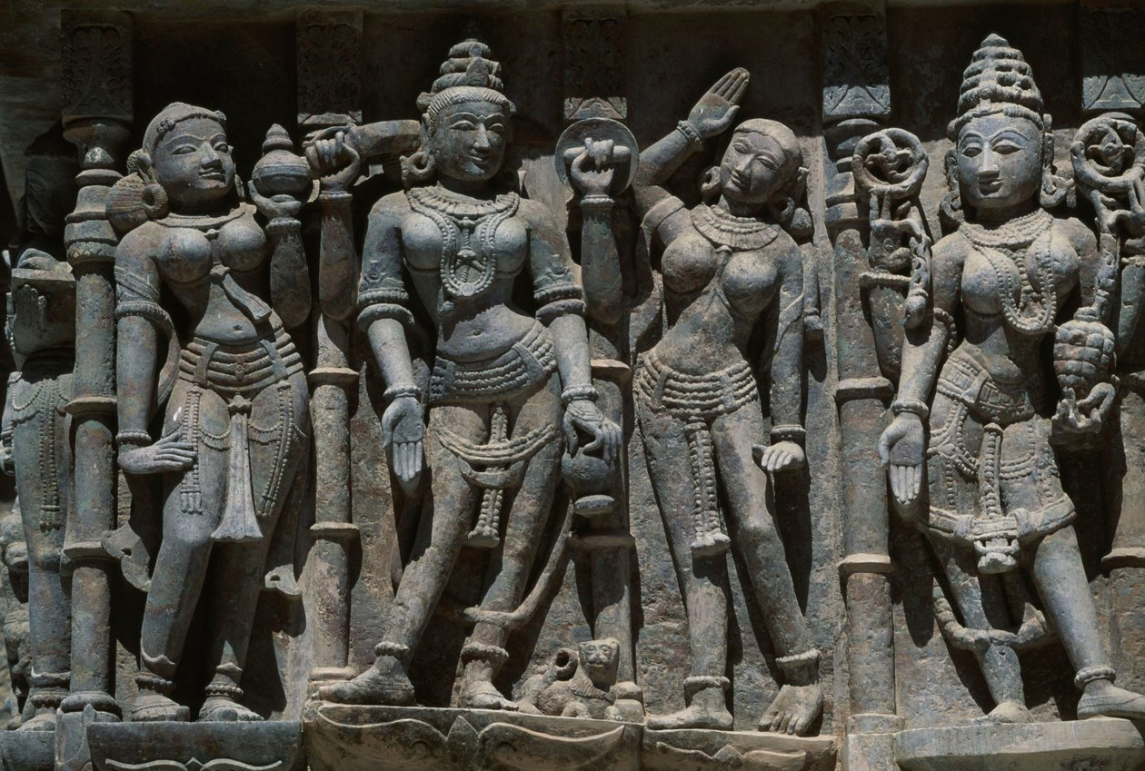 Naishahmoja tallettavia helpotuksia, Adeshwara-temppeli, Vimalavasi Tuk, temppelikompleksi Shatrunjaya-kukkulalla, Phalitana, Gujarat, Intia tekijältä Unbekannt Unbekannt