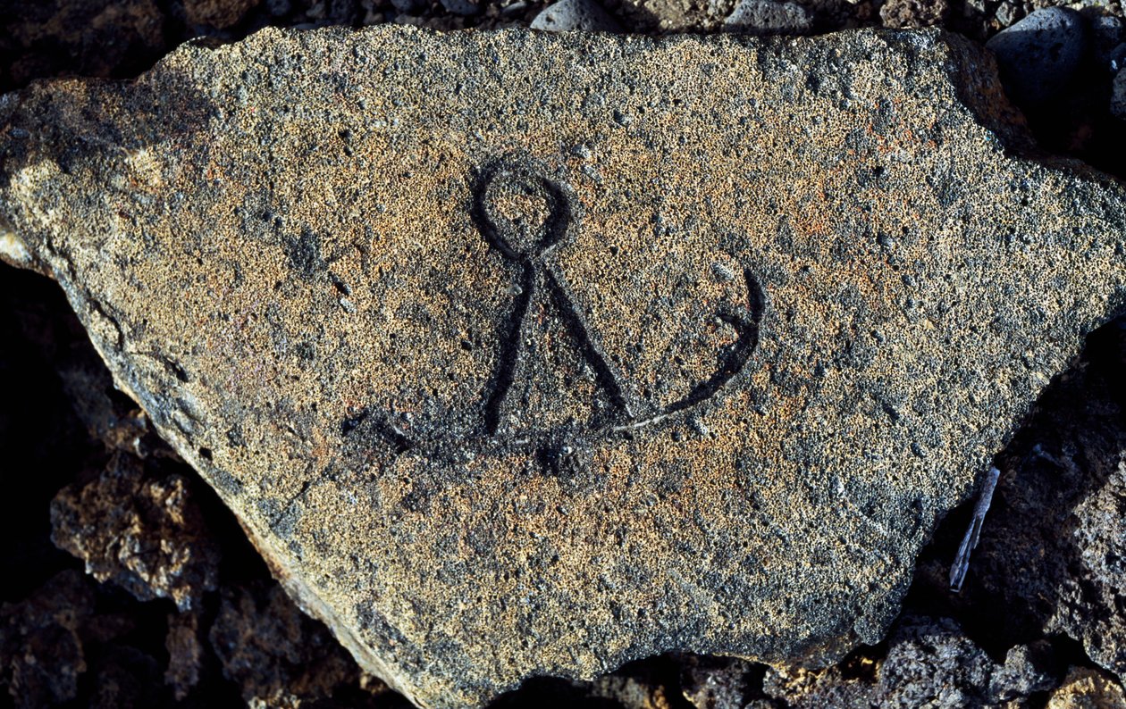Kivikaiverrus, Puako Petroglyph Archaeological District, Havaijin saari, Yhdysvallat tekijältä Unbekannt Unbekannt