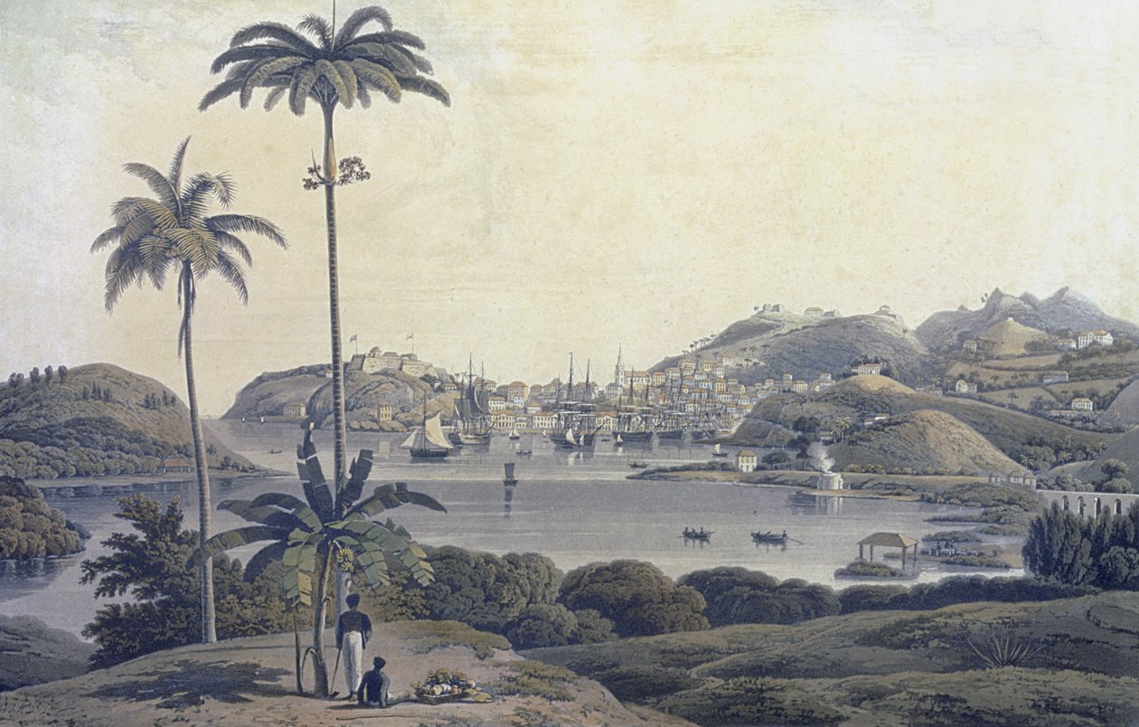 Näkymä St. Georgen kaupungista Grenadan saarella, otettu Belmont Estate -tilalta, kaivertaja William Daniell (1769-1837), noin 1810. tekijältä Lieutenant Colonel J. Wilson