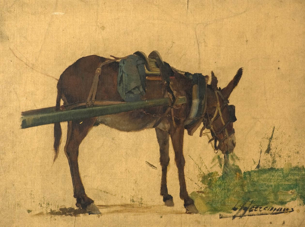 Tutkimus muulista (öljy kankaalle) tekijältä Lievan Herremans