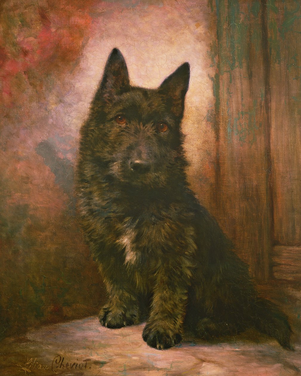 Scottie Puppy tekijältä Lilian Cheviot