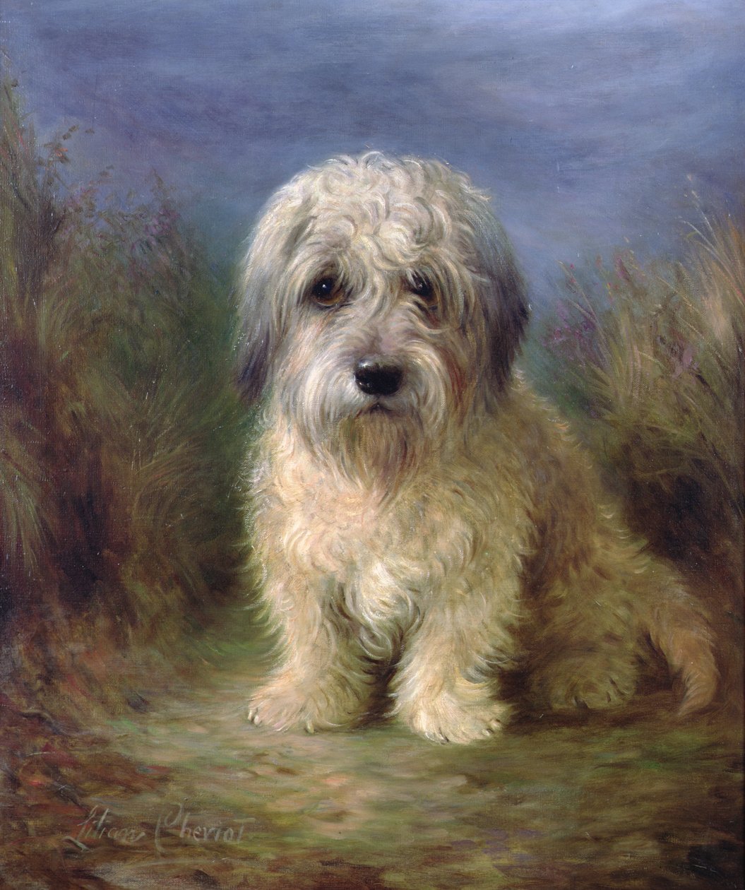 Dandie Dinmont Terrieri (öljy kankaalle) tekijältä Lilian Cheviot