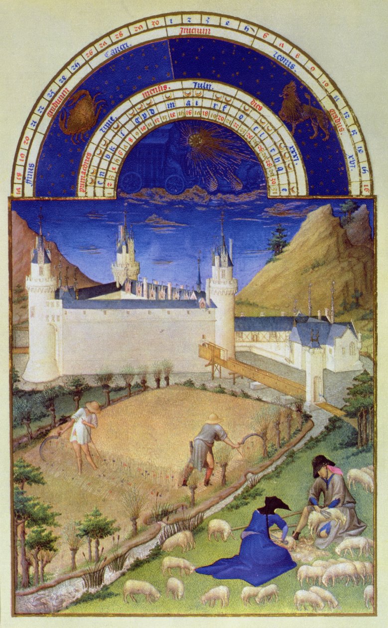 Heinäkuun faksimile: Sadonkorjuu ja lampaiden leikkaus, "Tres Riches Heures du Duc de Berry" (alkuperäinen katso 8439) tekijältä Limbourg Brothers