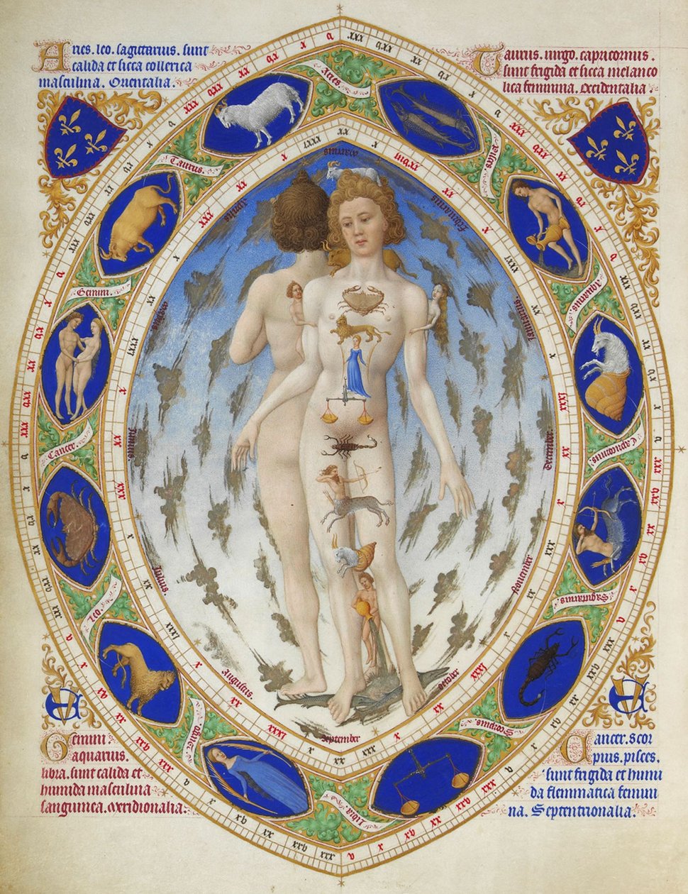 Très Riches Heures du Duc de Berry: Anatominen mies tekijältä Limbourg Brothers