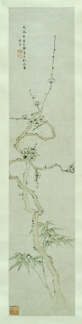 Prunus ja bambu tekijältä Lin Xue