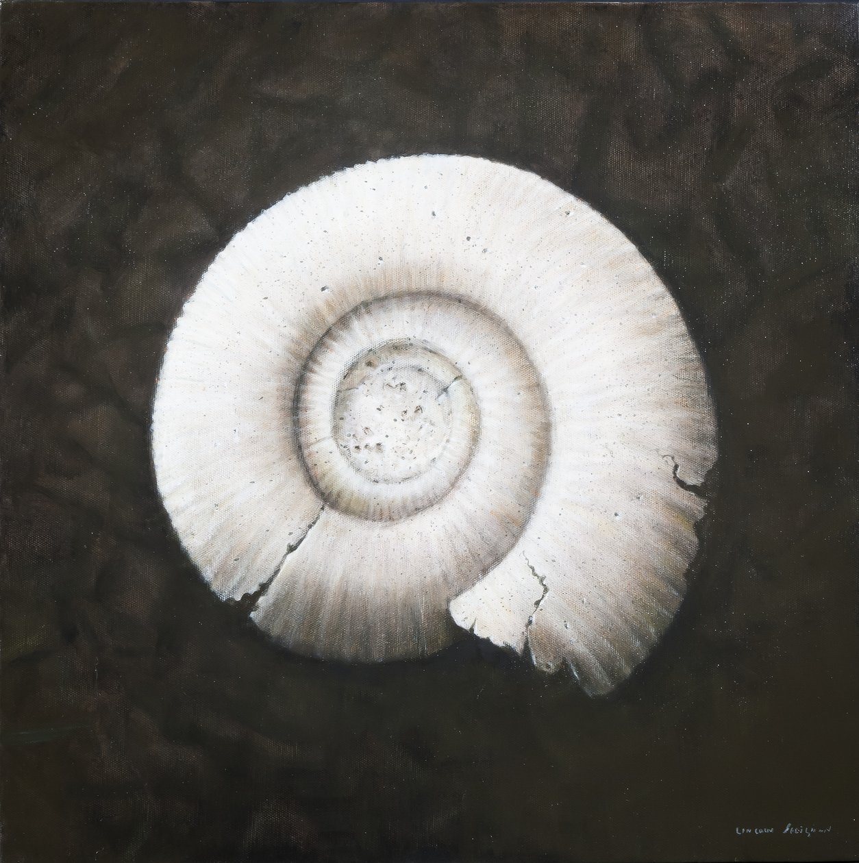Amononite, 2012 (akryyli kankaalle) tekijältä Lincoln Seligman
