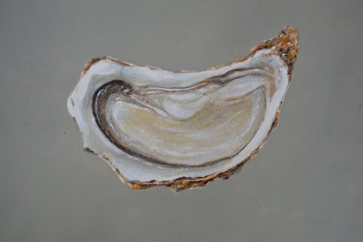 Breton Oyster 1 tekijältä Lincoln Seligman