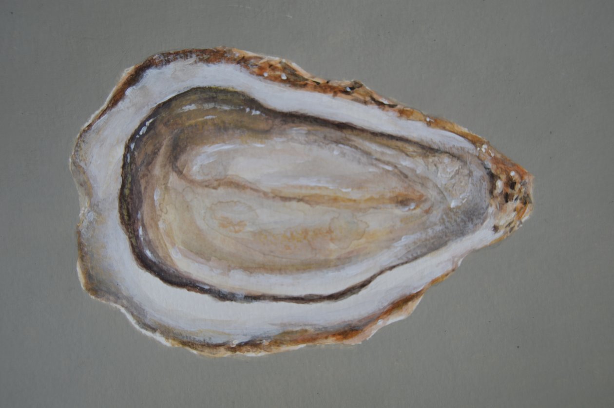 Breton Oyster 2 tekijältä Lincoln Seligman
