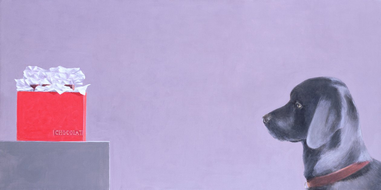 Suklaaholisti tekijältä Lincoln Seligman