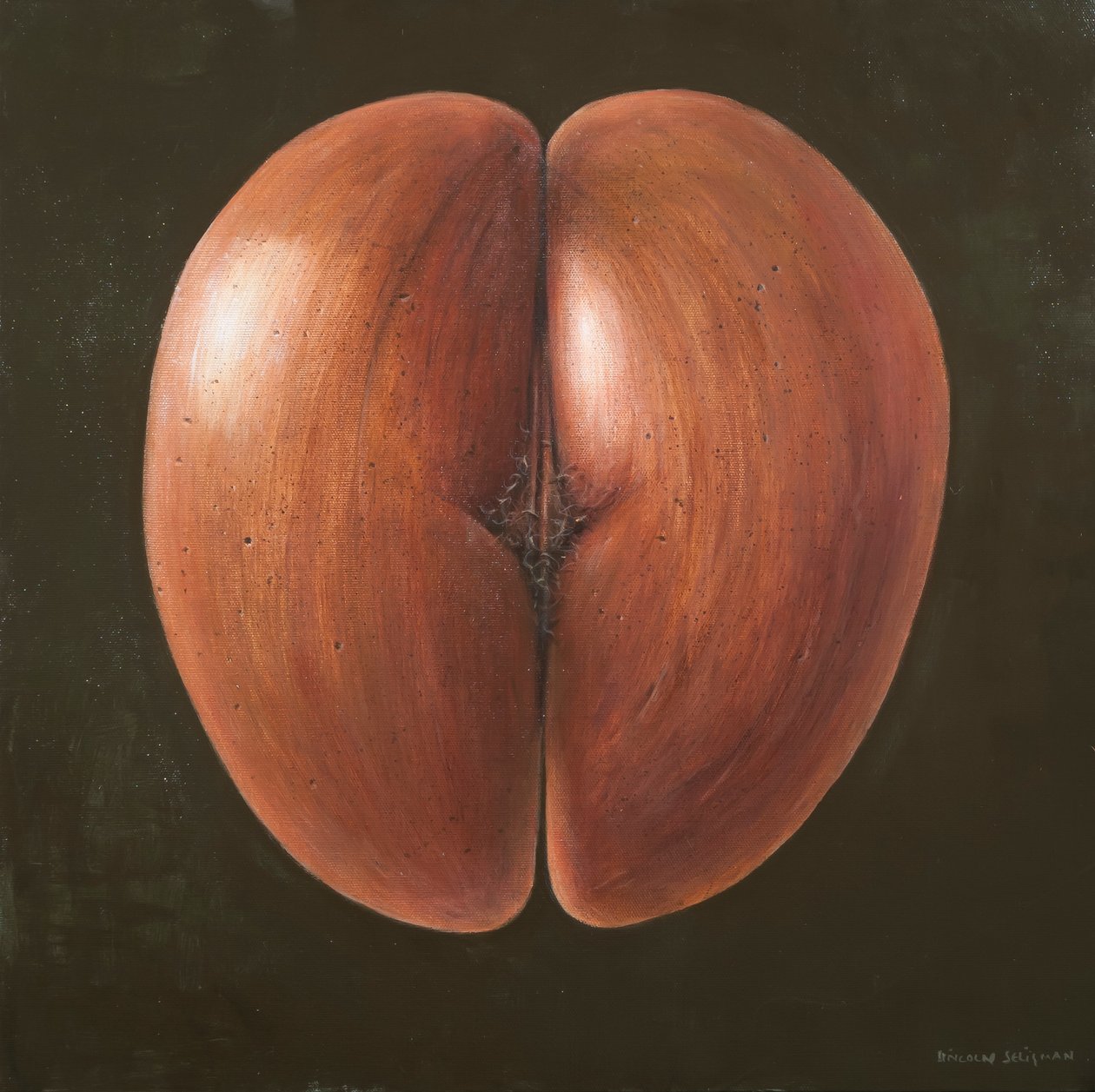 Coco de Mer, Malediivit, 2012 (akryyli kankaalle) tekijältä Lincoln Seligman