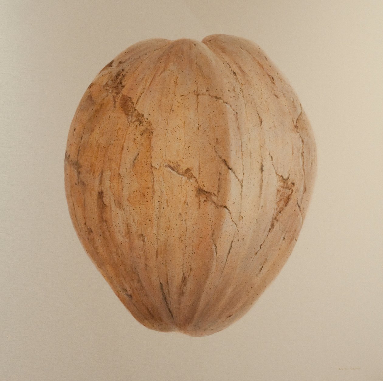 Coconut, Sri Lanka, 2010 (akryyli kankaalle) tekijältä Lincoln Seligman
