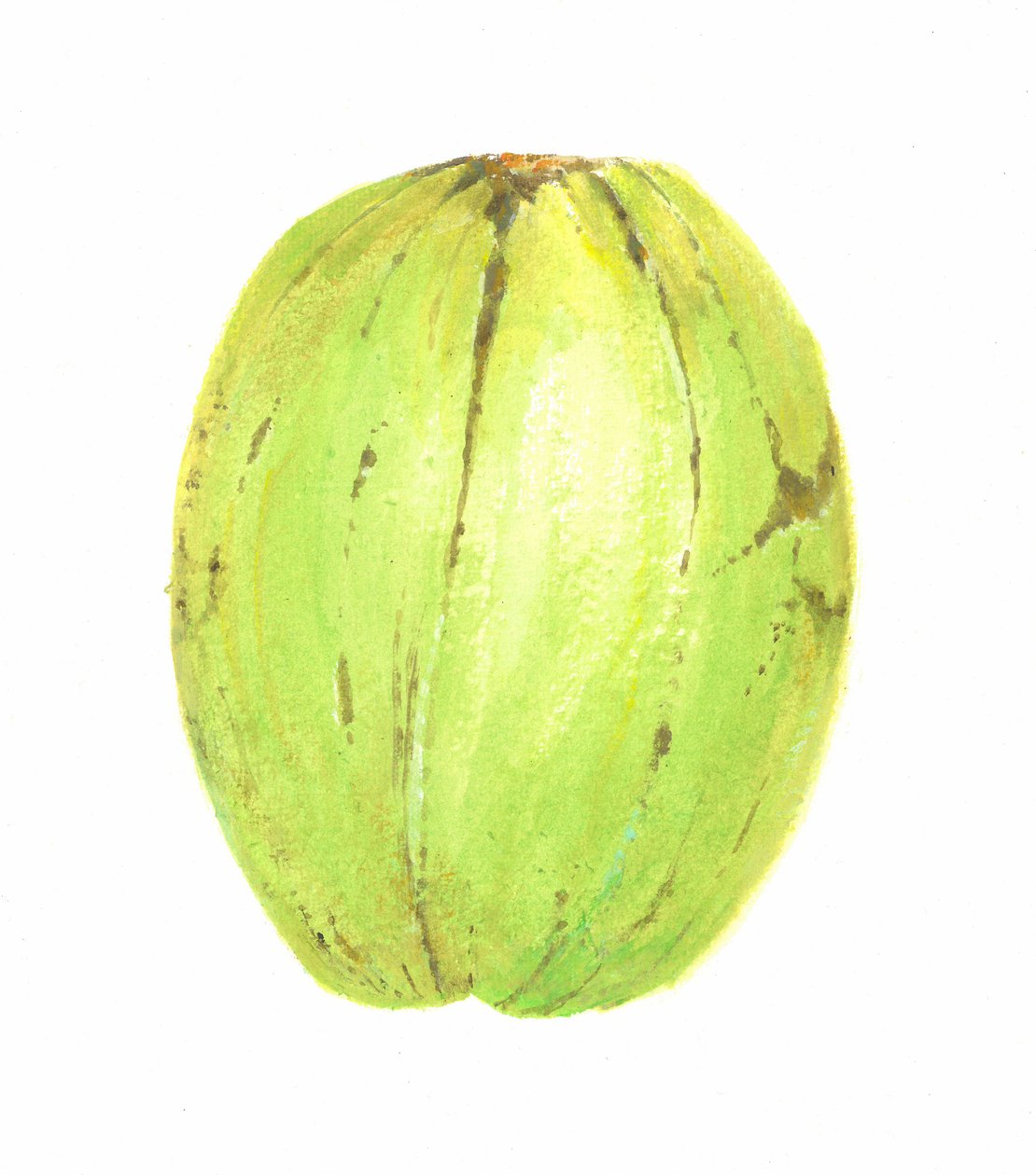 Coconut, Sri Lanka, 2015 tekijältä Lincoln Seligman