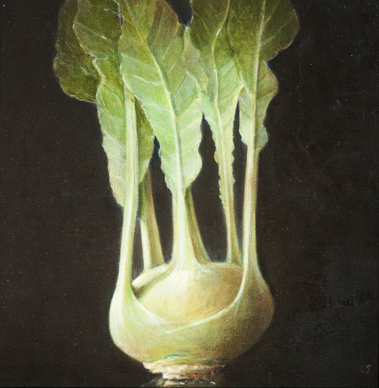 Kohl Rabi, 2012 (akryyli kankaalle) tekijältä Lincoln Seligman