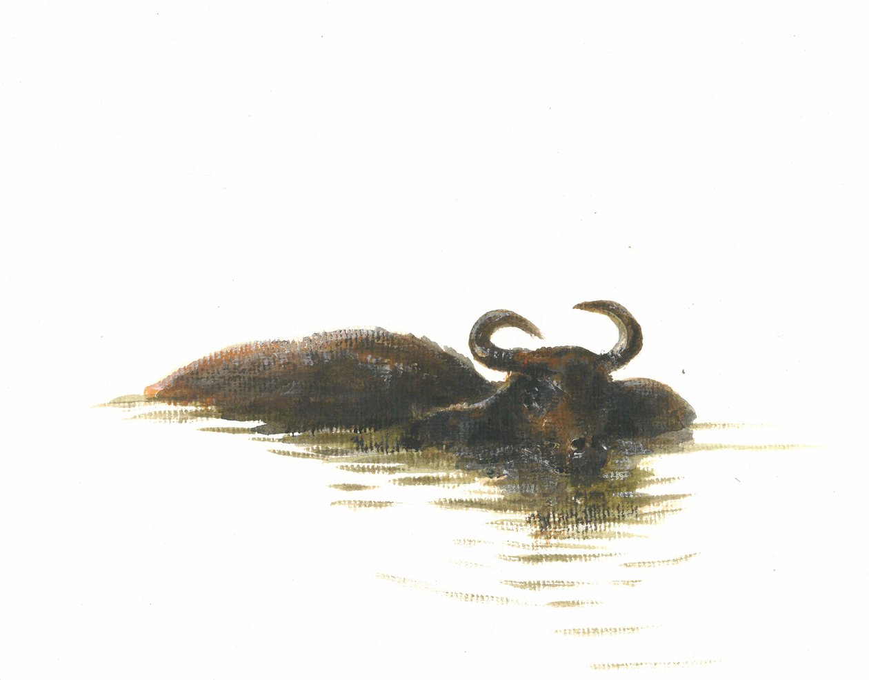 Water Buffalo 2, 2015 tekijältä Lincoln Seligman