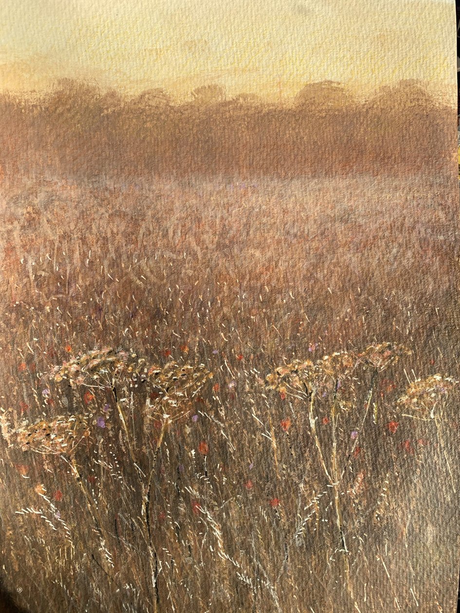 Bean Field Dusk tekijältä Lincoln Seligman