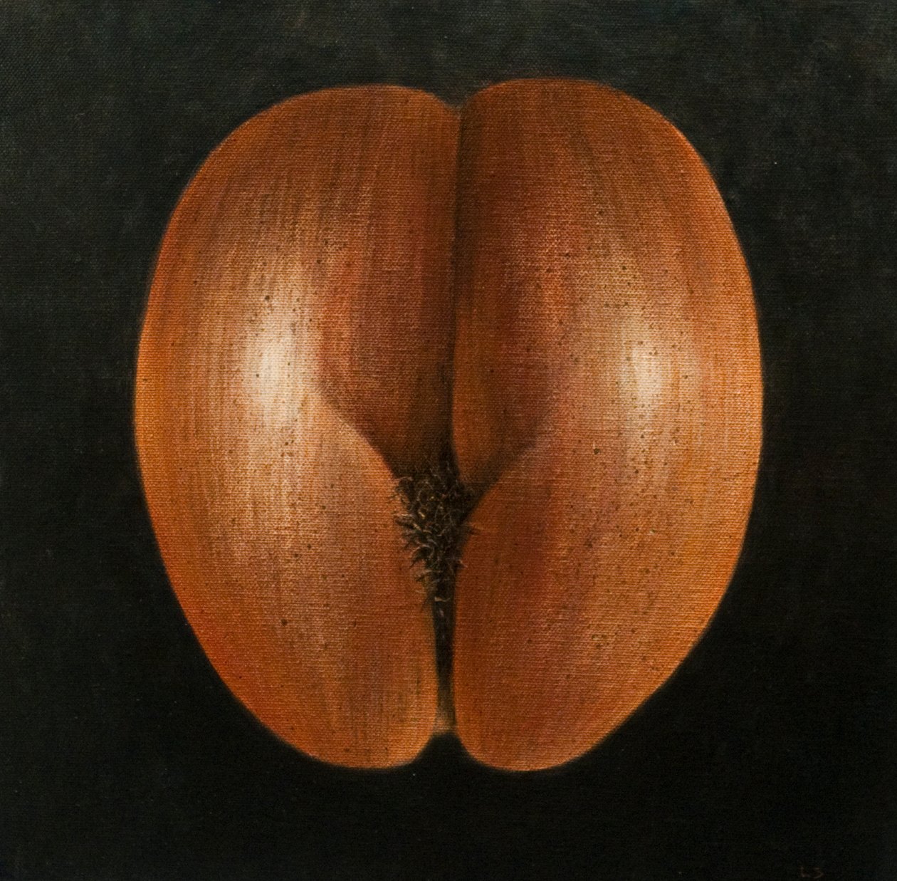 Coco de Mer, 2010 (akryyli kankaalle) tekijältä Lincoln Seligman