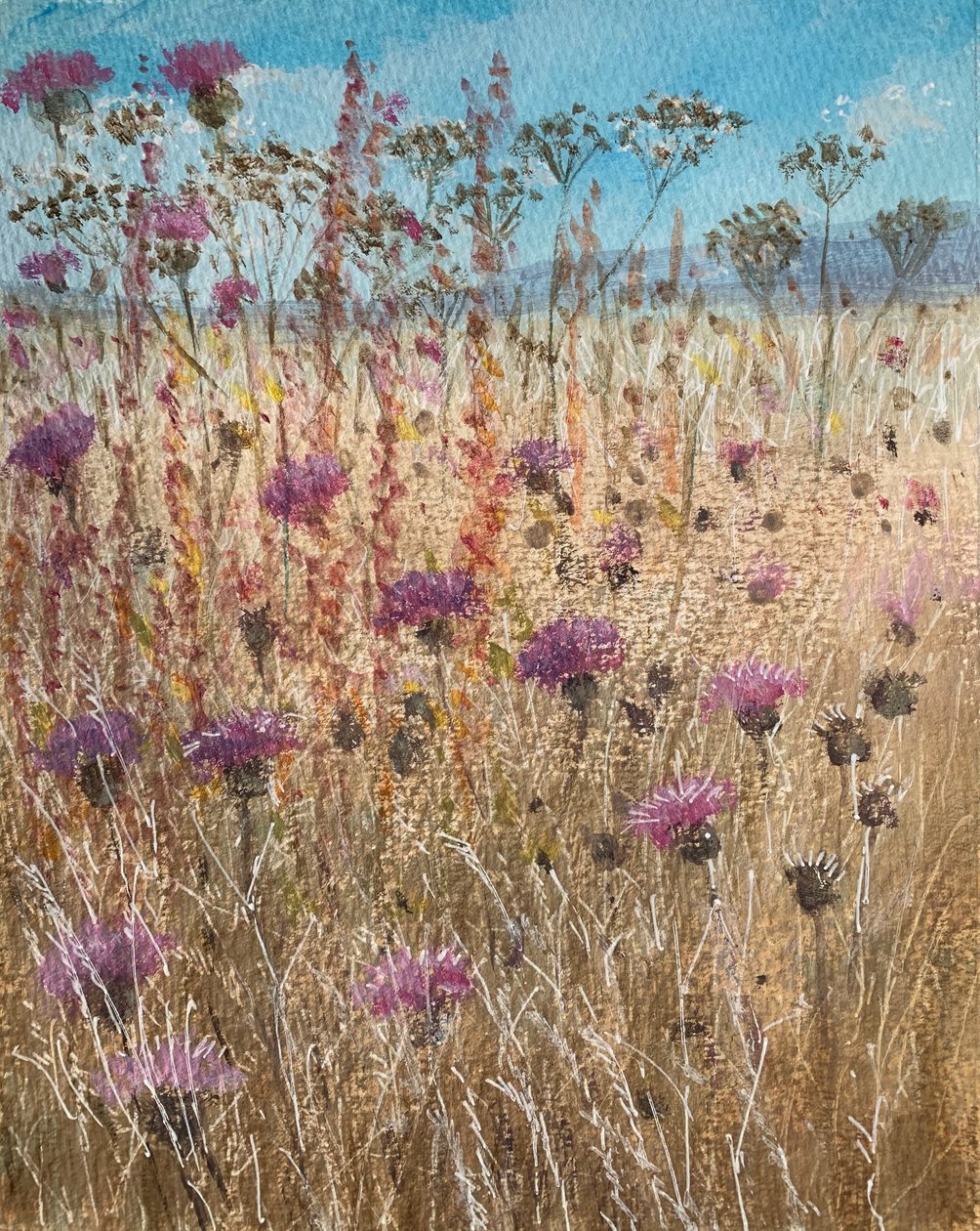 Tumma Scabious tekijältä Lincoln Seligman