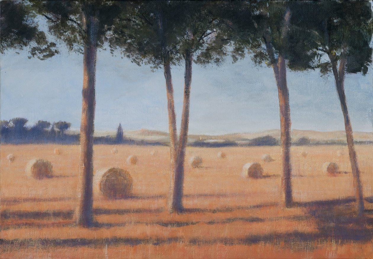 Heinäpaalit ja -männyt, Pienza, 2012 (akryyli kankaalle) tekijältä Lincoln Seligman