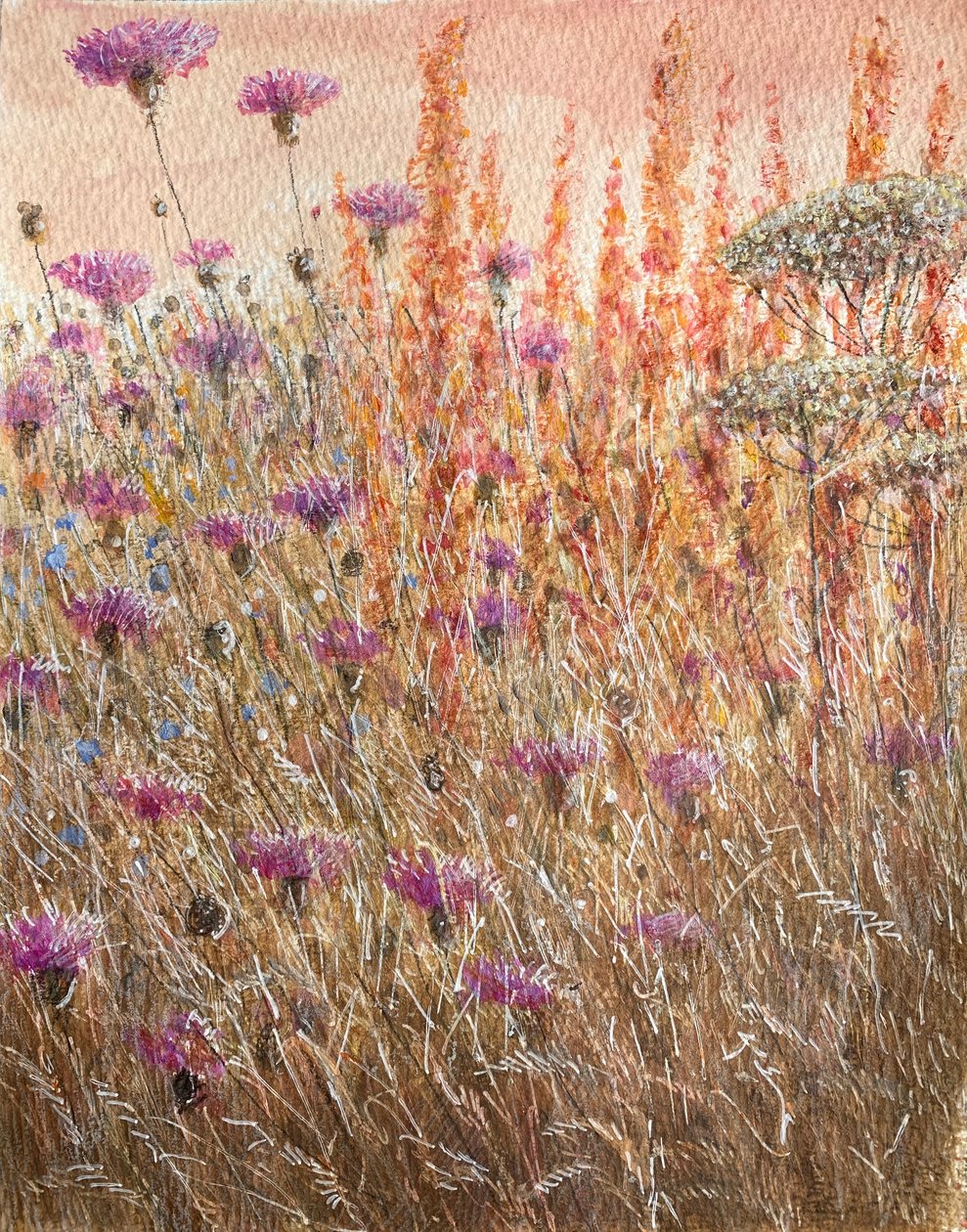 Scabious & Docks tekijältä Lincoln Seligman