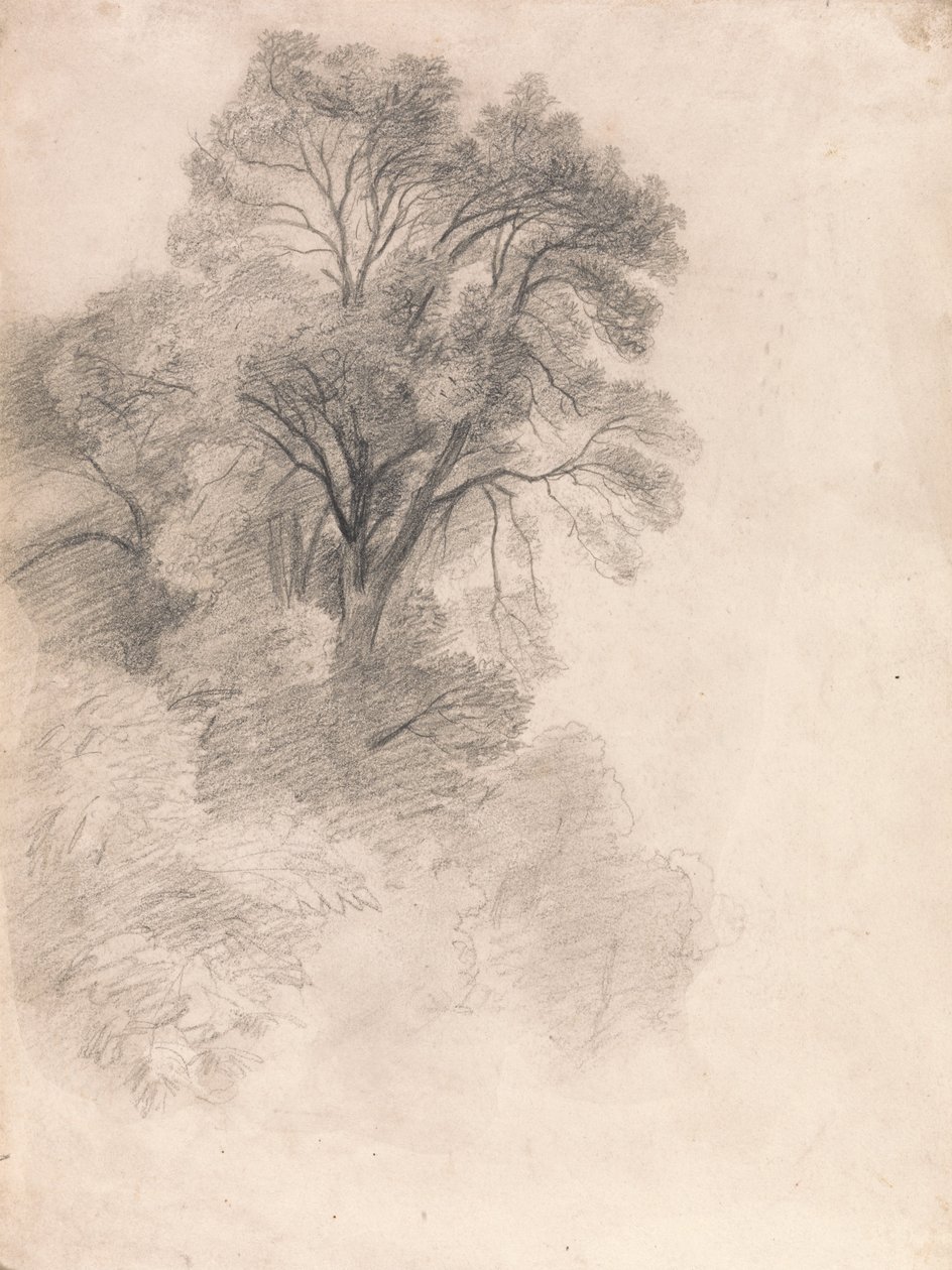 Tutkimus tuhkasta tekijältä Lionel Constable