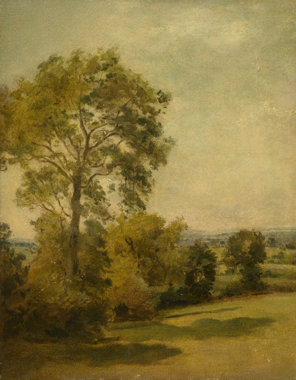 Puu maisemassa, noin 1850 tekijältä Lionel Constable