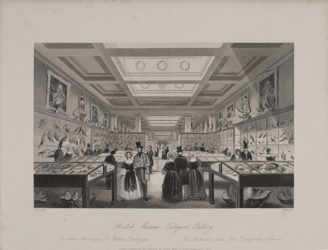 Näkymä eläintieteellisestä galleriasta, British Museum, jossa kävijät katselevat näyttelyitä, n. 1850 (kaiverrus) tekijältä Llewellyn (after) Jewitt