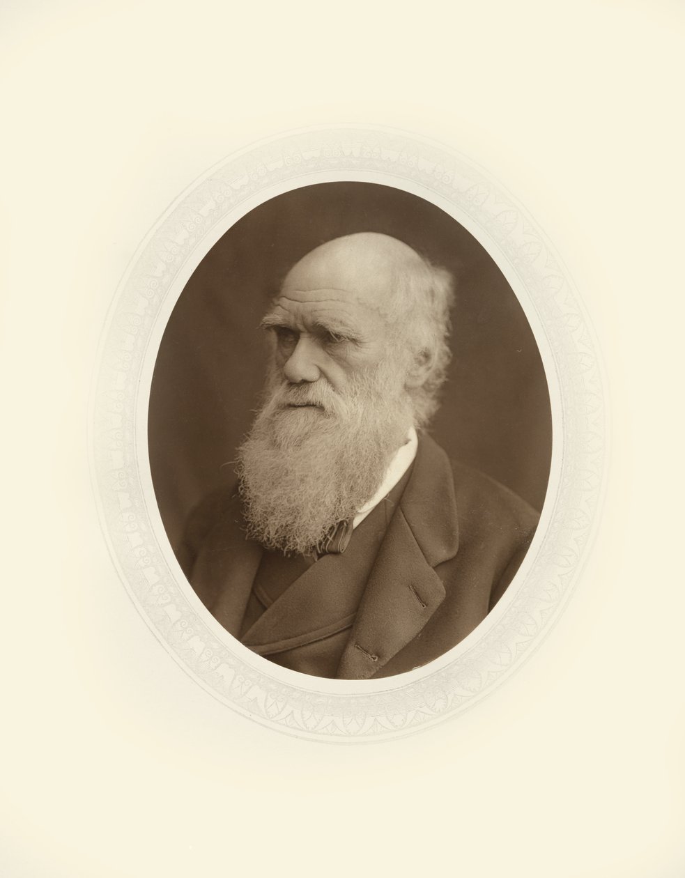 Charles Robert Darwin tekijältä Lock and Whitfield