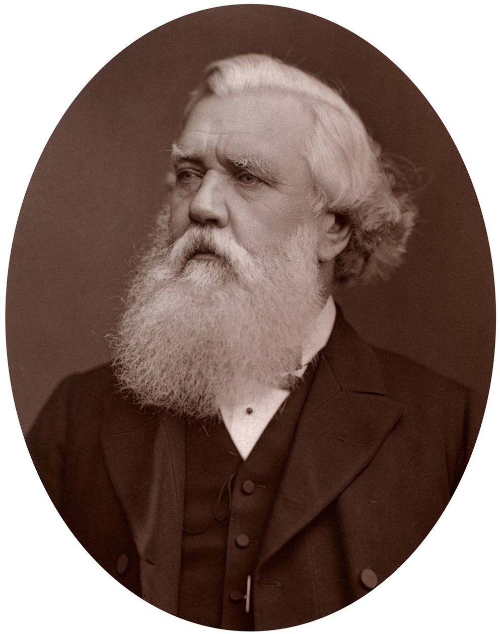 Oikea Hon Austen Henry Layard DCL, Britannian suurlähettiläs Konstantinopolissa, 1877. tekijältä Lock and Whitfield