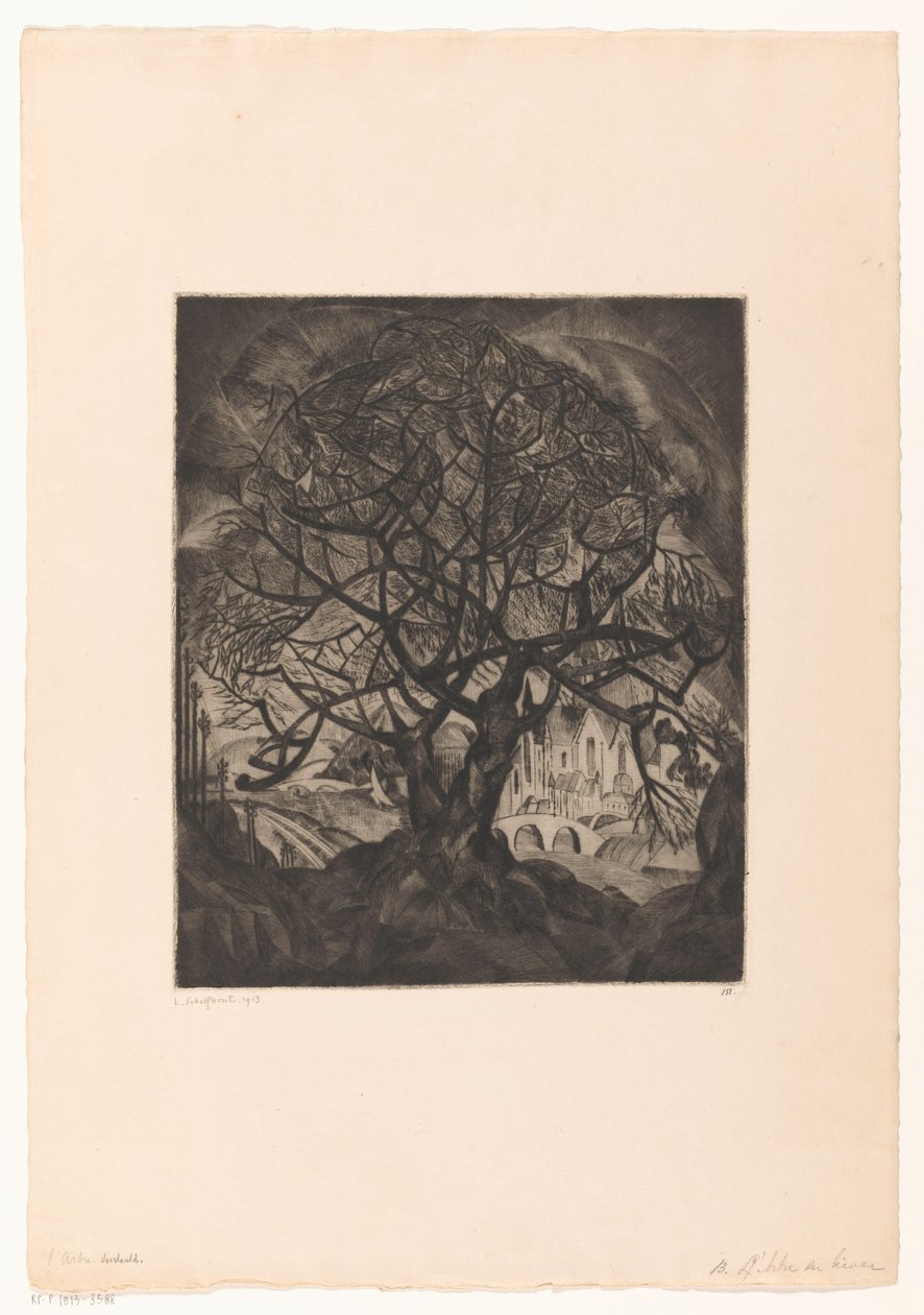 Arbre amb branques nues L