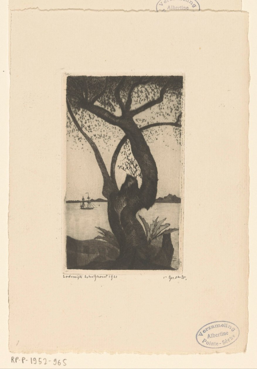 Oliivipuu Korsikassa Olivier, Corse (alkuperäinen nimi) tekijältä Lodewijk Schelfhout (signed by artist)
