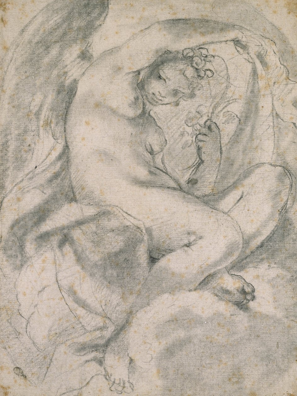 Nymfi (Flora) pilvien keskellä (musta liitu, jossa kanto luonnonvalkoisella paperilla) tekijältä Lodovico Carracci