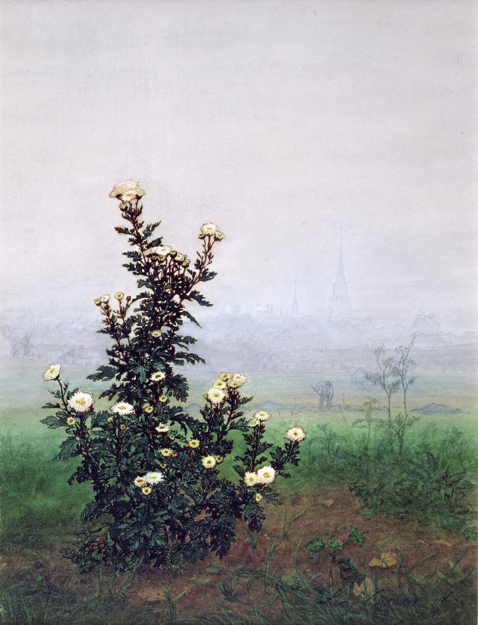 Kukkiva krysanteemi ja työläinen, 1863 (wc, guassi, tussi ja lyijykynä paperille) tekijältä Léon Bonvin
