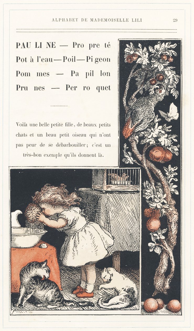 Pauline, Puhdas, Vesipannu, Hiukset, Kyyhkynen, Omenat, Perhonen, Luumut, Papukaija, sivu 29 - Aakkoset neiti Lili, L. Froelich ja isä (Hetzel itse). Bibliotheque  Magasin d