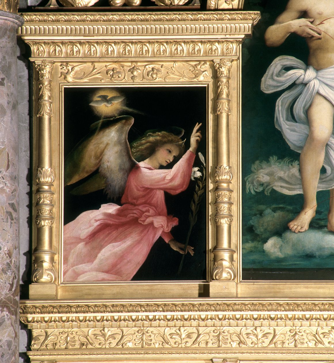 Ilmoitusenkeli, yksityiskohta San Giovanni Battistan polyptyykistä, n. 1525 tekijältä Lorenzo Lotto
