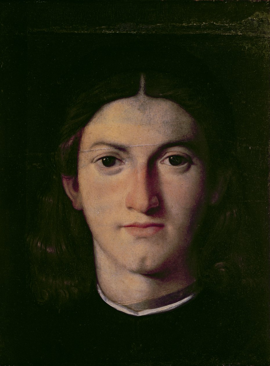 Nuoren miehen muotokuva, 1505 (paneeli) tekijältä Lorenzo Lotto