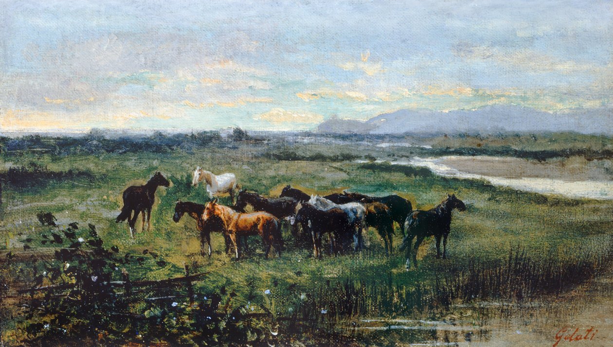 Wild Horses, noin 1870, kirjoittanut Lorenzo Gelati (1824-1893), öljy kankaalle siirretty paneelille, 21x37 cm tekijältä Lorenzo Gelati