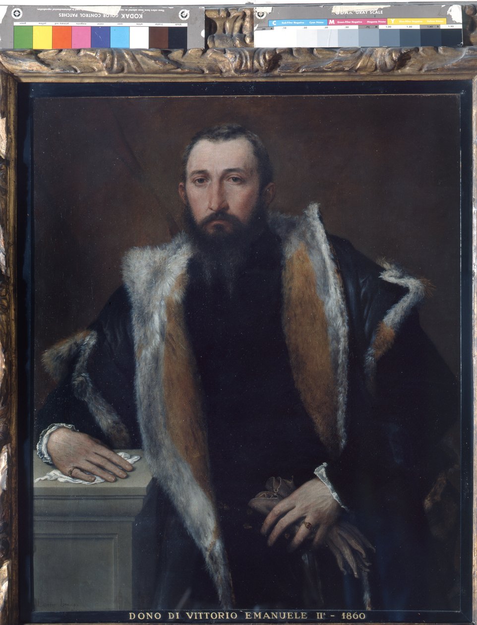 Muotokuva Febon Bresciasta tekijältä Lorenzo Lotto