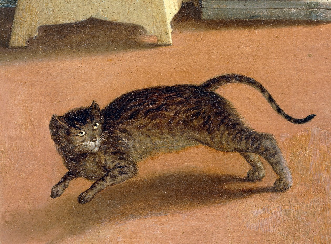 Kauhistunut kissa, yksityiskohta Recanati Annunciationista, noin 1534, kirjoittanut Lorenzo Lotto (1480-1556), öljy kankaalle tekijältä Lorenzo Lotto