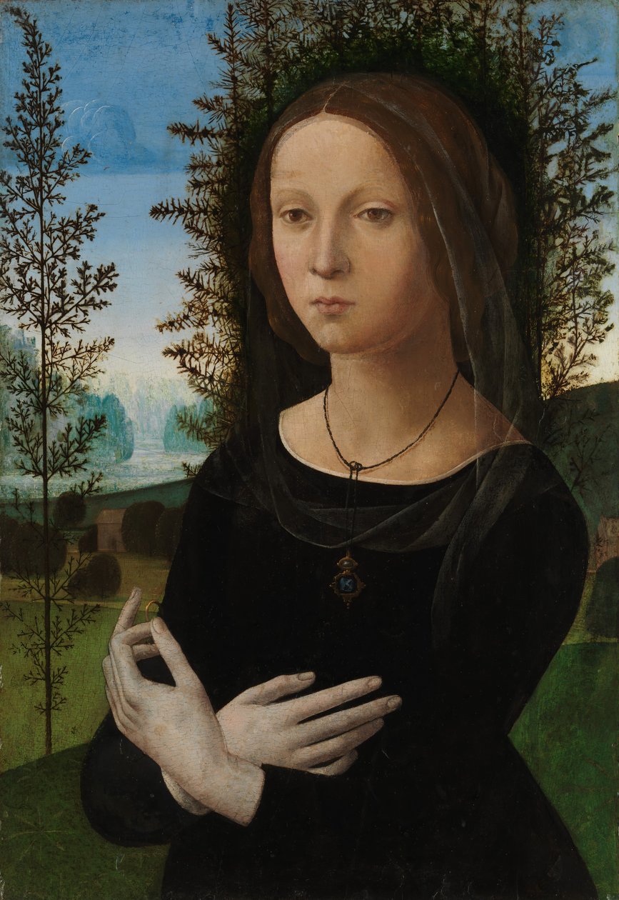 Nuoren naisen muotokuva, n. 1490-1500. tekijältä Lorenzo di Credi